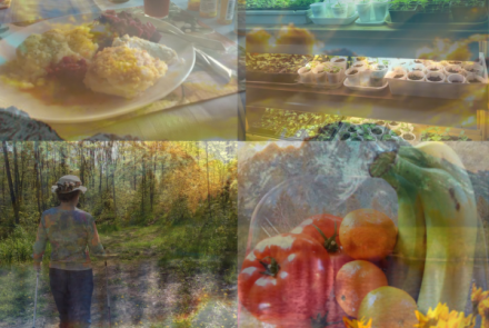 Reimaging Diabetes Self-Management Education for Seniors in rural Ontario through a Participatory Knowledge Exchange Process